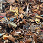 Reciclare materiale feroase