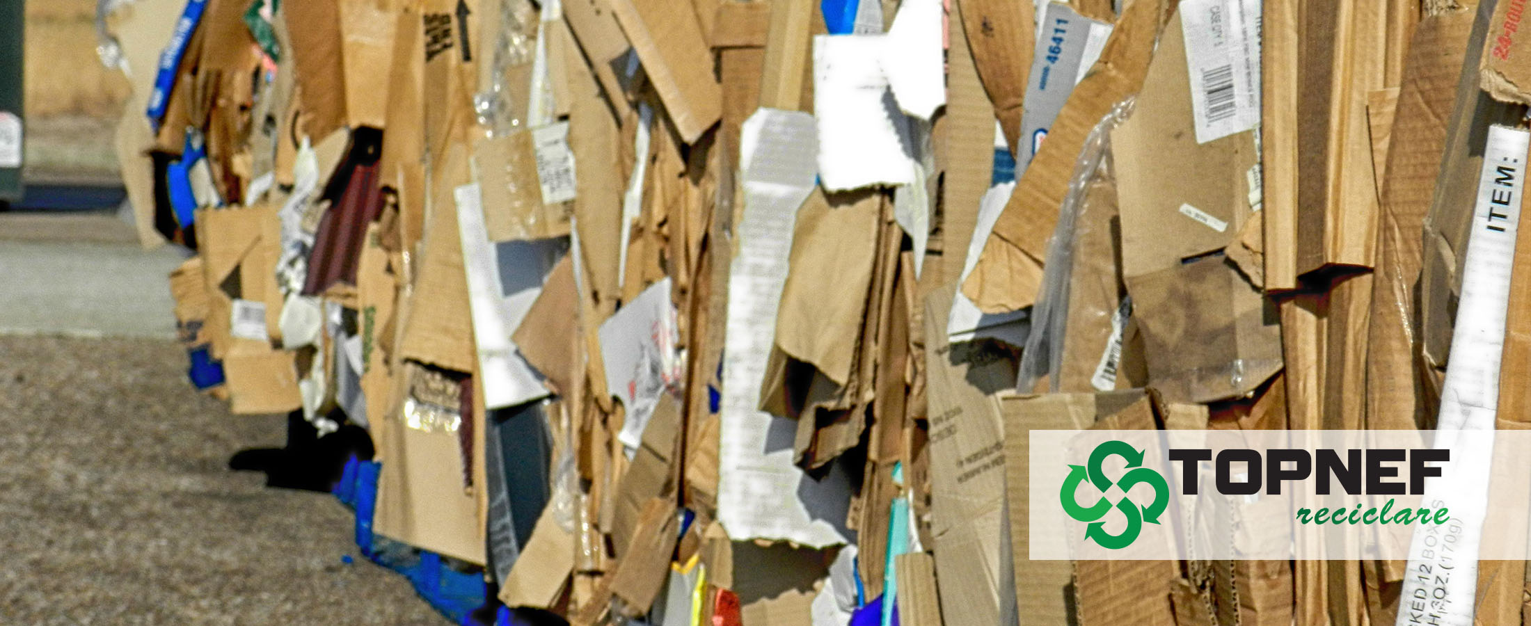 Reciclare carton si materiale plastice